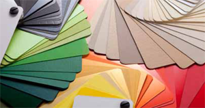 Celebration-Supplies Color